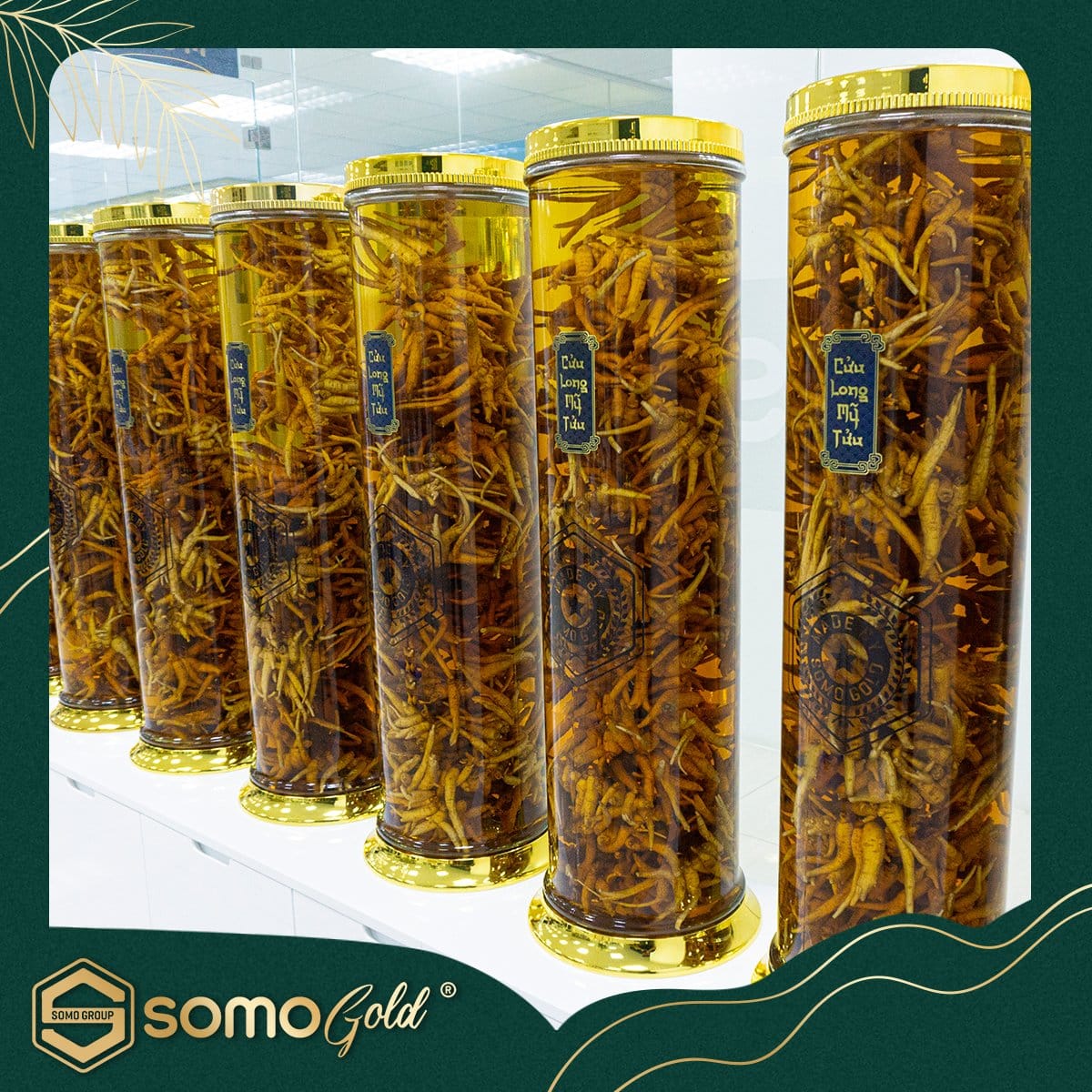 TÂY DƯƠNG SÂM TỬU - Bình thủy tinh Hàn Quốc 10.5 Lít.2