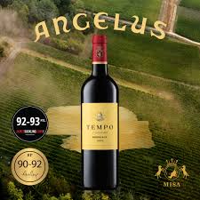 Tempo D 'Angelus2020.12